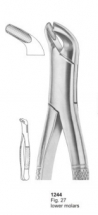  Fig. 27 lower molars 